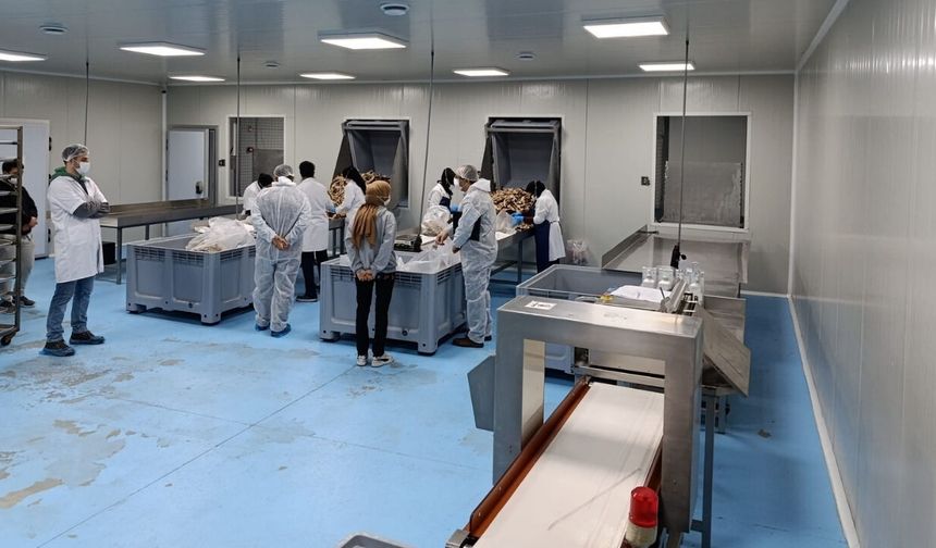 Uşak’ta Yem Denetimi Alarmı
