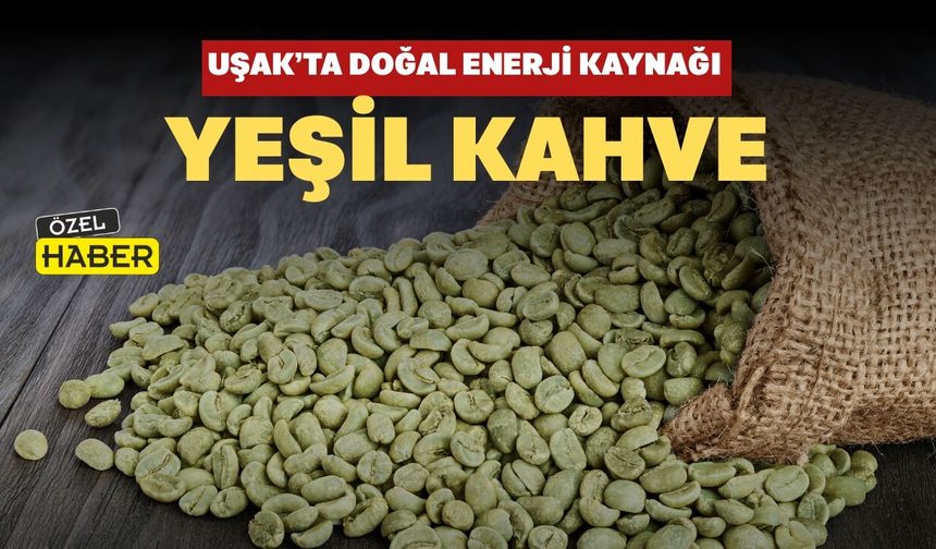 Uşak’ta Doğal Enerji Kaynağı: Yeşil Kahve