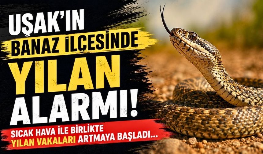 Uşak’ın Banaz ilçesinde Yılan Alarmı