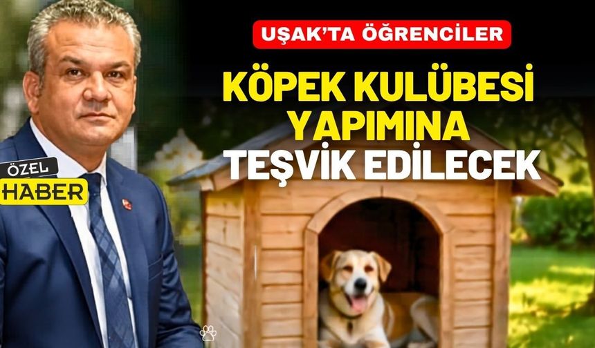 Uşak’ta öğrenciler köpek kulübesi yapımına teşvik edilecek