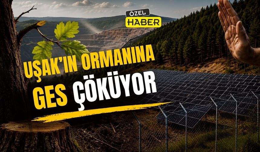 “Uşak’ın altını ve suyu gitti sıra ormanlarına mı geldi?”