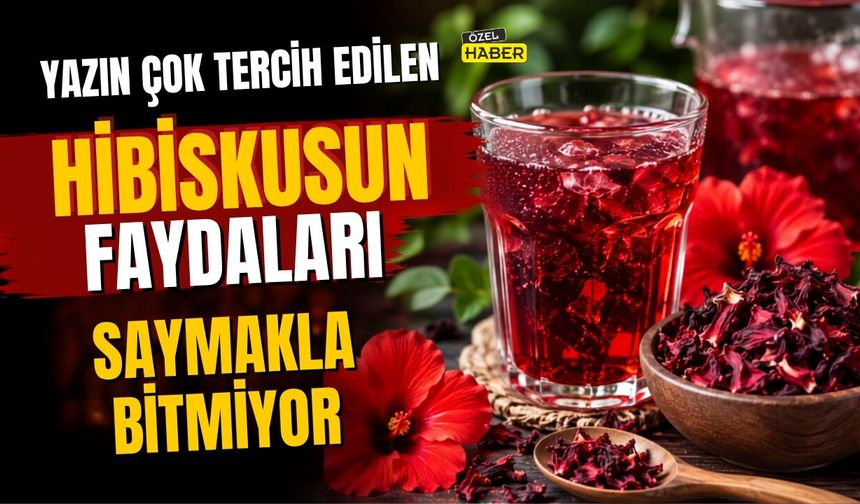 Yazın Çok Tercih Edilen Hibiskusun Faydaları Saymakla Bitmiyor