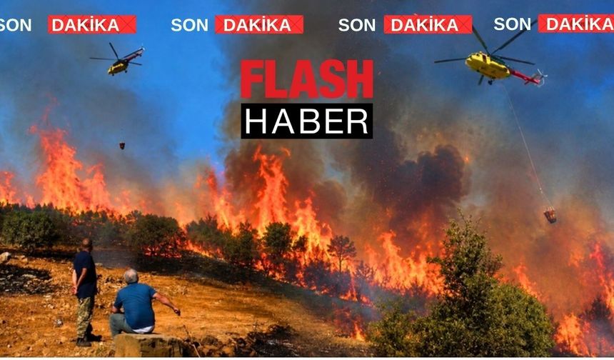 Uşak’ın Karahallı İlçesinde Orman Yangını