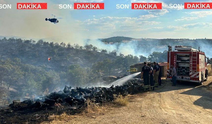 Uşak’taki Orman Yangını An İtibarıyla Kontrol Altına Alındı