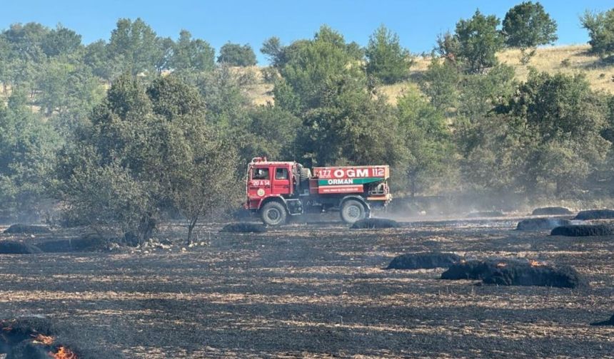 Uşak'ta Yangın Ormanlık Alana Sıçradı