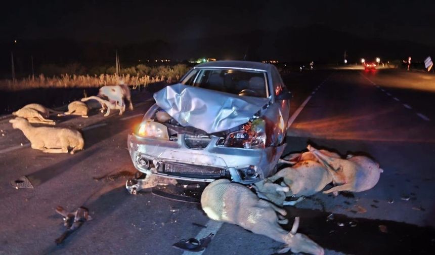 Uşaklı Sürücü Otomobiliyle  17 Cana Kıydı