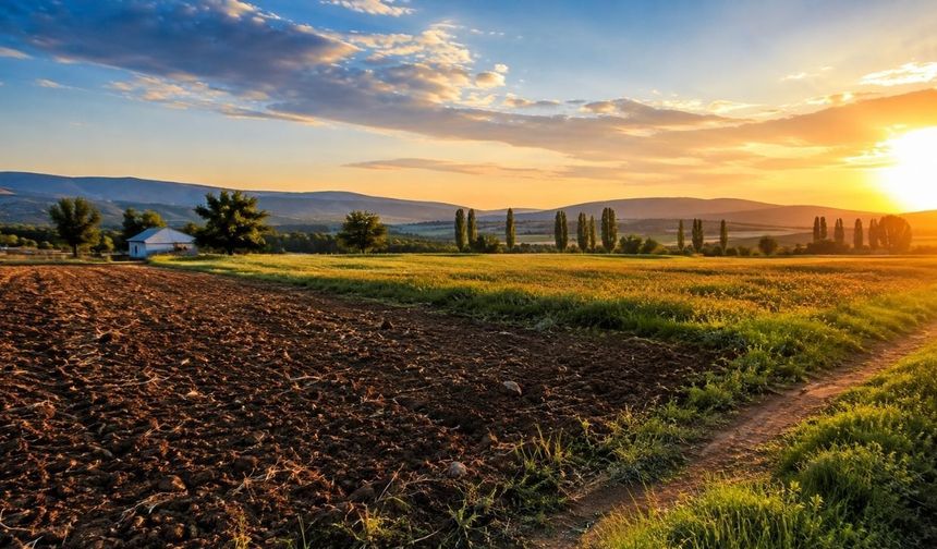 Uşak’ta Milyonluk Tarla Satışa Çıktı