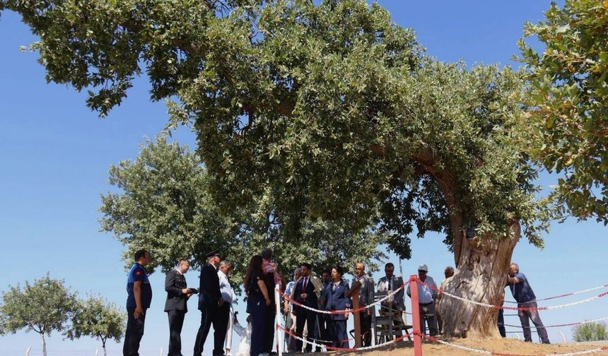 Uşak’ın Eşme İlçesi Kurtuluşunun 104. Yılını Coşkuyla Kutladı