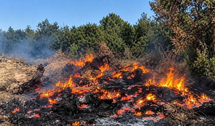 Uşak’ta Akbulak Köyünde Yangın