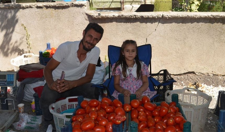 Salı Pazarı’ndan Güncel Sebze ve Meyve Fiyatları