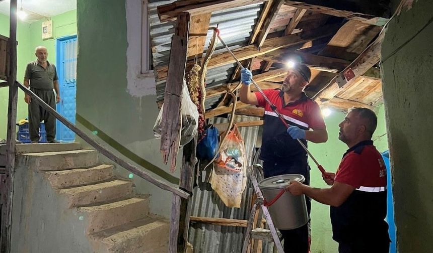 Uşak’ta Bir Evde Yılan Paniği Yaşandı