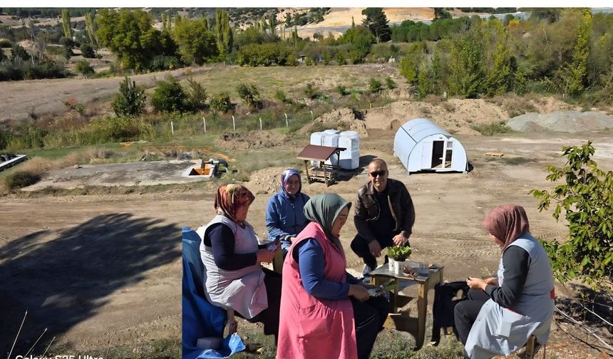 Uşak Belediyesi 50 Yıllık Termal Sera Yatırımı Yaptı