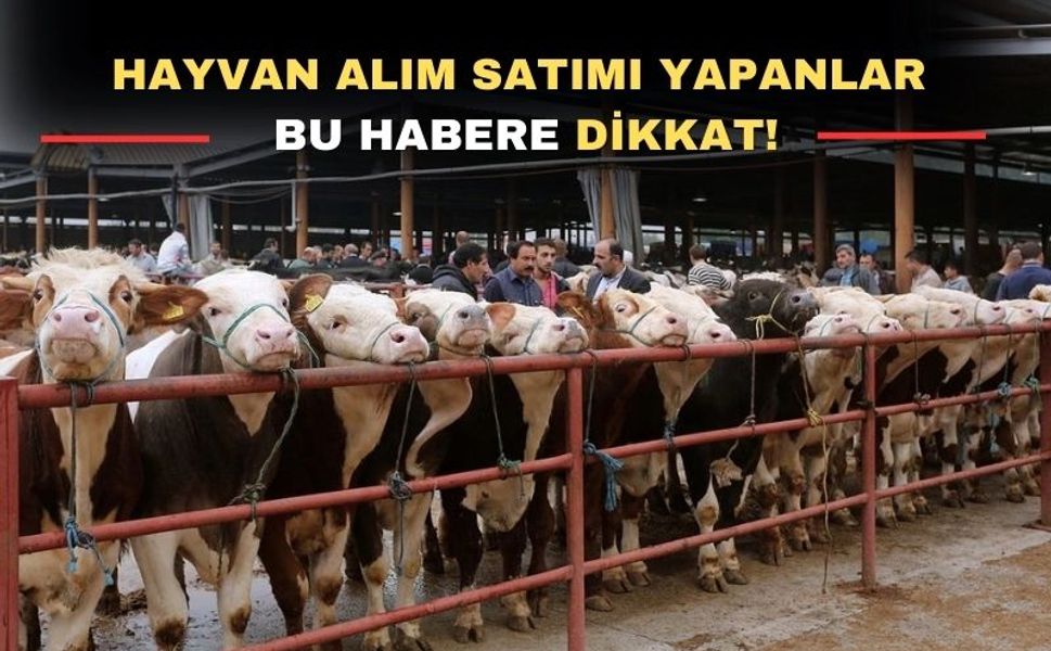 Uşak’ta hayvan pazarı açılış saatleri değişti