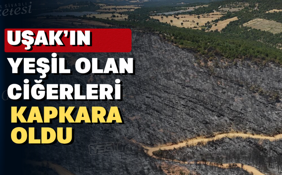 Uşak’ta yanan ormanlık alan havadan görüntülendi