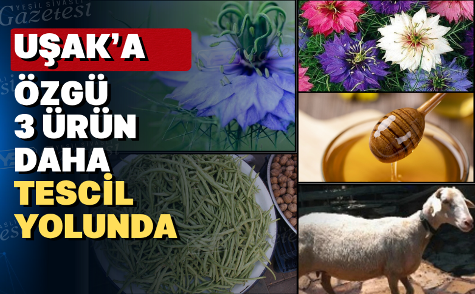 Uşak’ın 3 ürünü daha coğrafi işaret alma yolunda