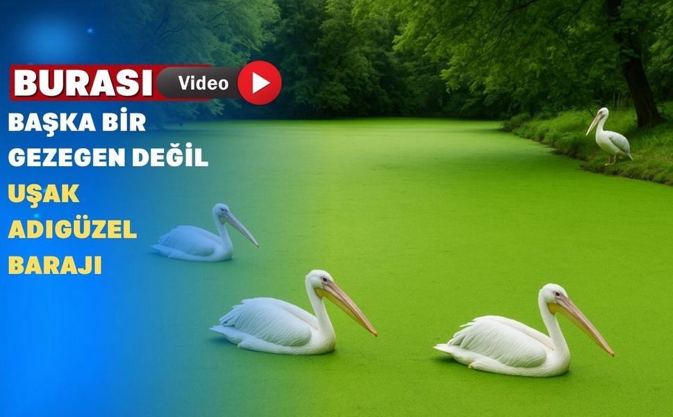 Uşak Adıgüzel Barajı’nda Suyun Rengi Yeşile Döndü
