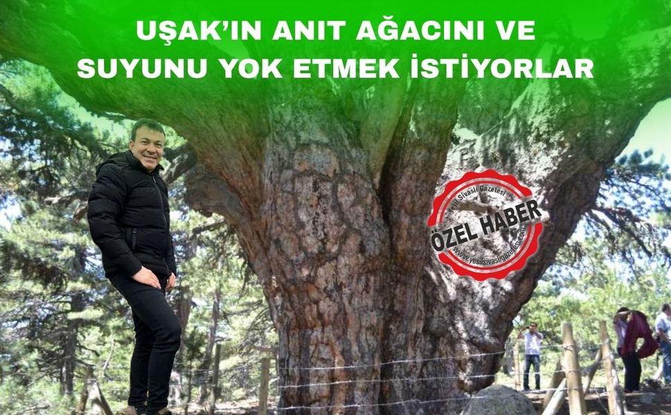 Uşak’ın sembolü “Anıt Ağacı’ yok etmek istiyorlar