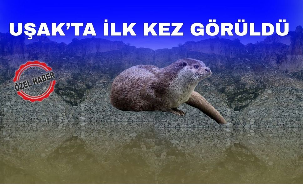 “Uşak’ta Su Samuru Görüldü” İddiası