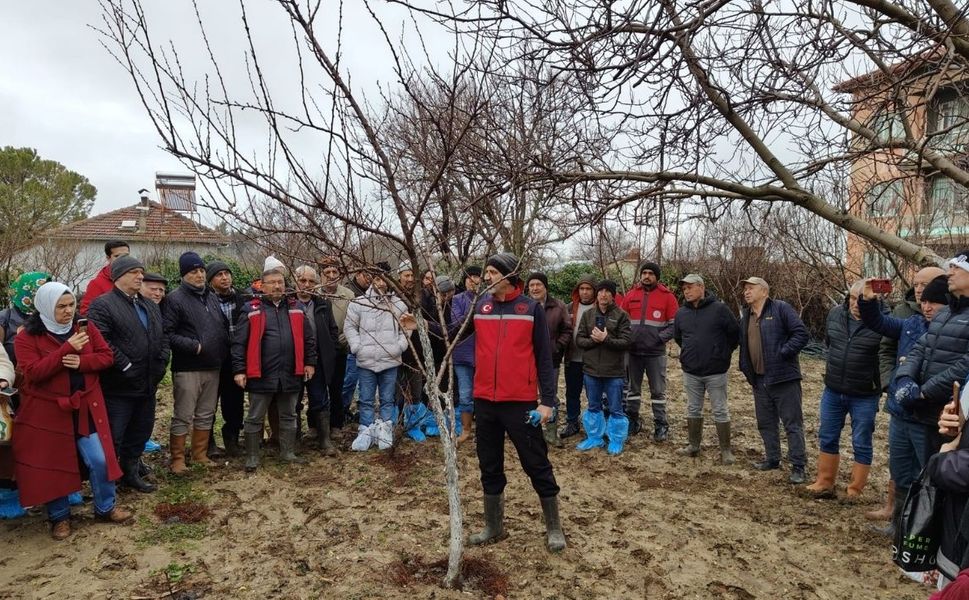 Uşak’ta uygulamalı budama eğitimi verildi
