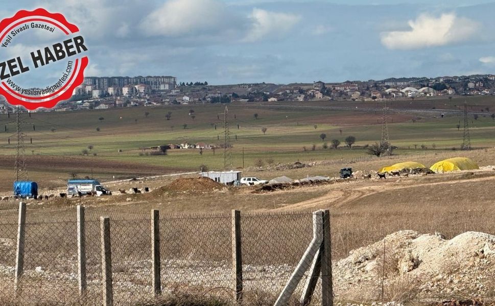 Uşak’ta yapılamayan sanayi sitesinde koyunlar otluyor