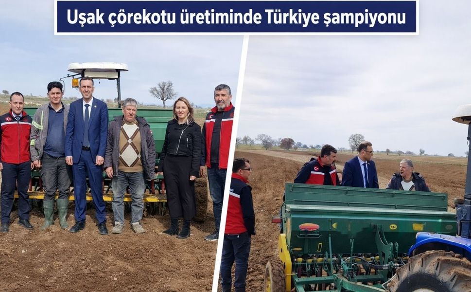 Çörekotu üretiminde şampiyon Uşak'ta yazlık üretim başladı