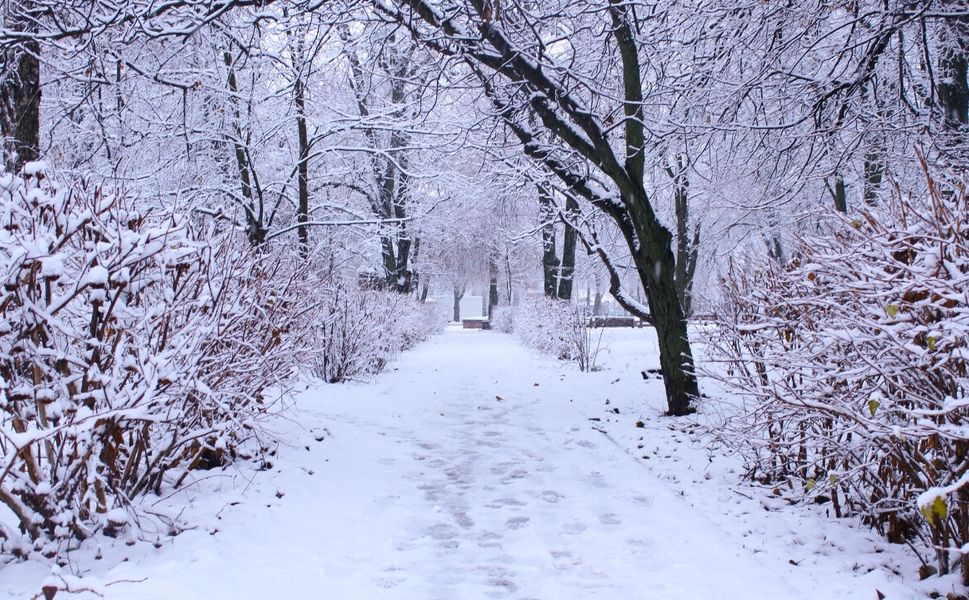 Badılcamı Köyünde Bayramda Kar Sürprizi