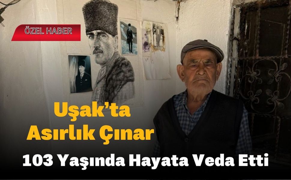 Uşak’ta Asırlık Çınar 103 Yaşında Hayata Veda Etti