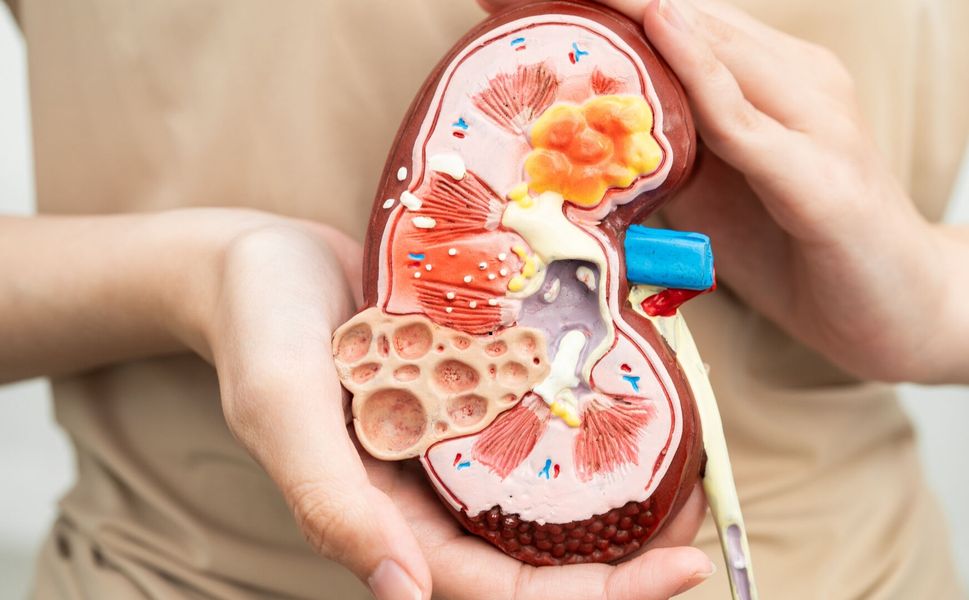 Sağlıklı Böbrekler İçin Sağlıklı Çevre