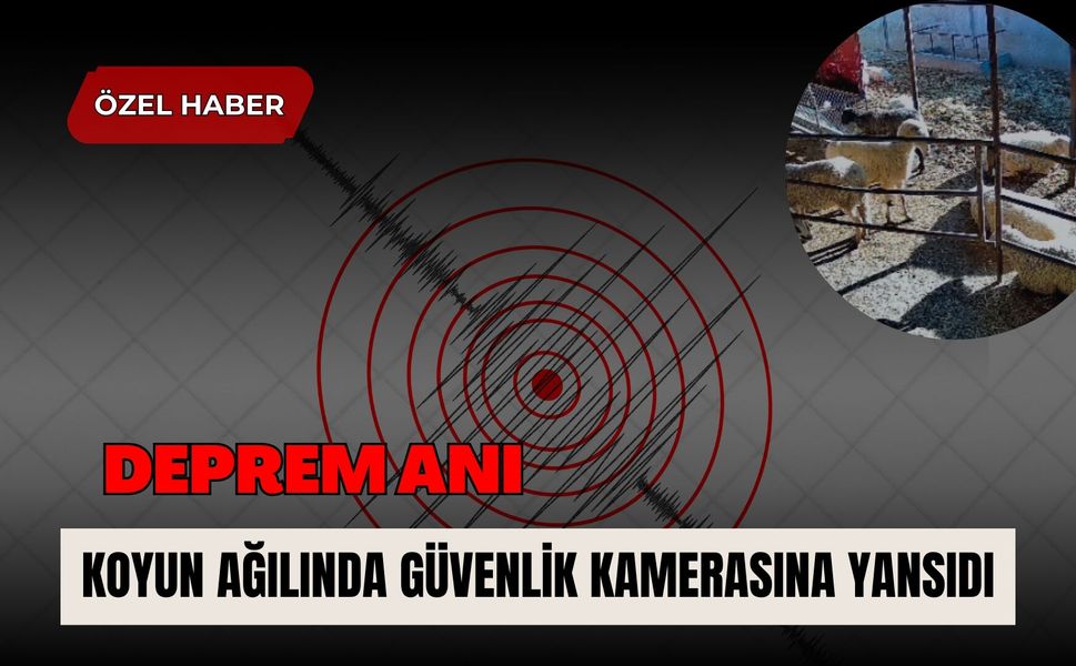 Deprem Anı Koyun Ağılında Güvenlik Kamerasına Yansıdı