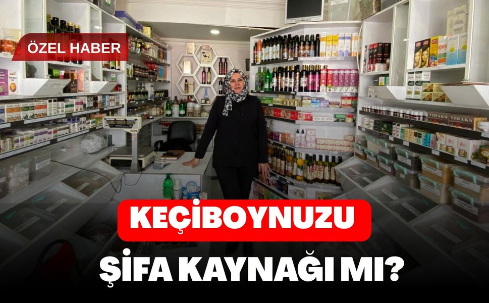 Keçiboynuzu Şifa Kaynağı mı ?