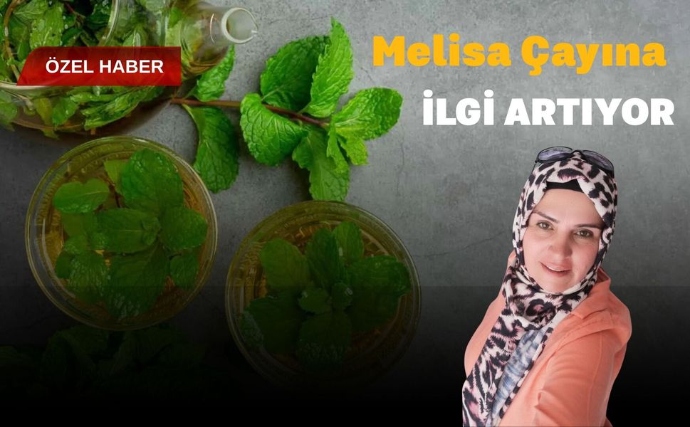 Melisa Çayına İlgi Artıyor