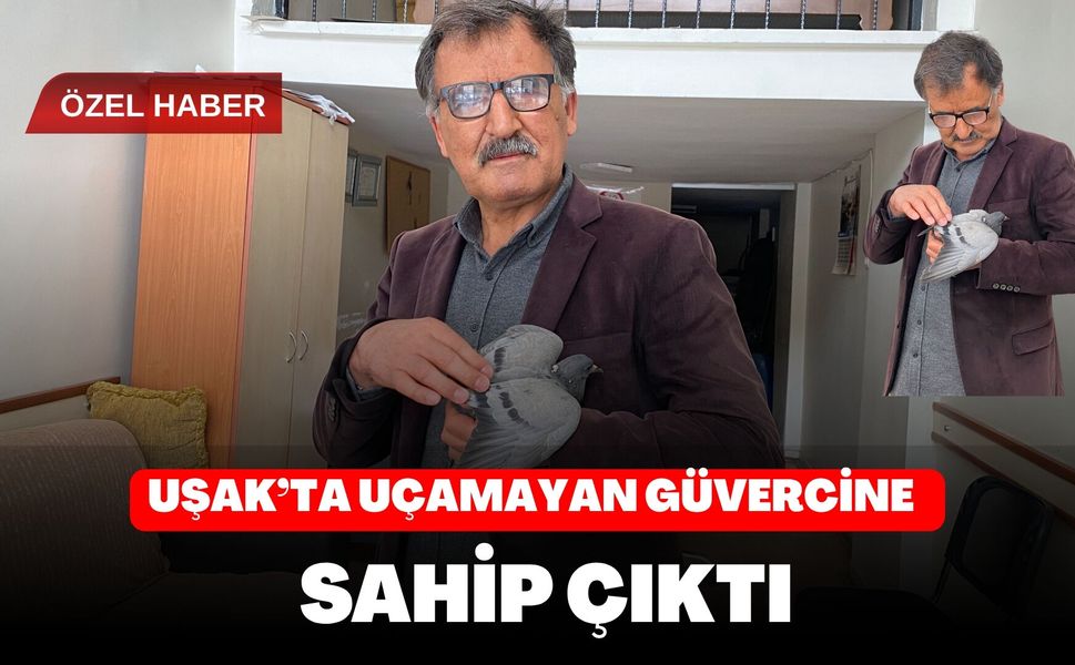 Uşak’ta Uçamayan Güvercine Sahip Çıktı