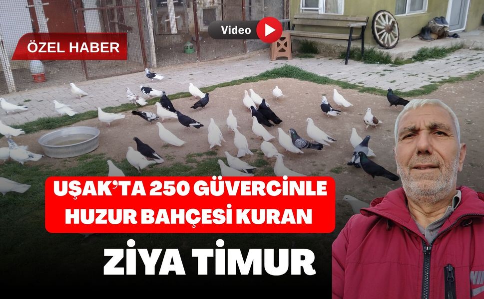 Uşak’ta 250 Güvercinle Huzur Bahçesi Kuran Ziya Timur