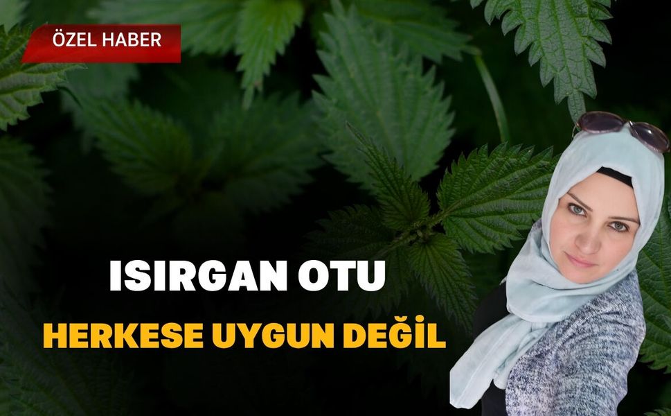 Isırgan Otu Herkese Uygun Değil
