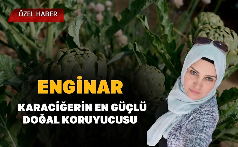 Enginar, Karaciğerin En Güçlü Doğal Koruyucusu