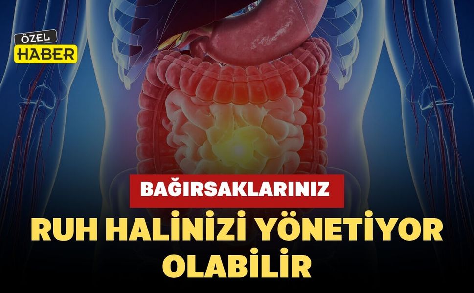 Bağırsaklarınız Ruh Halinizi Yönetiyor Olabilir