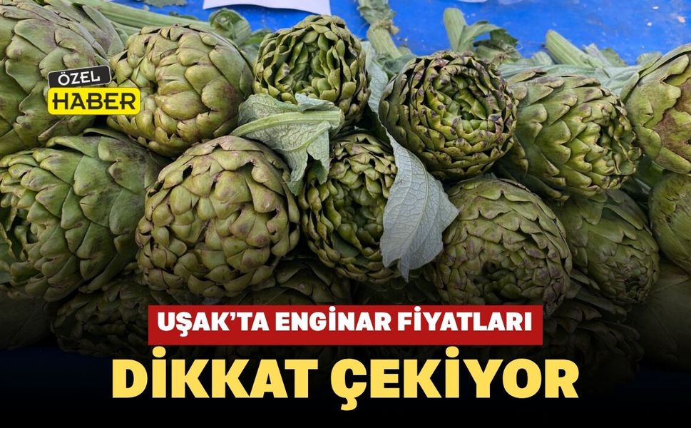 Uşak’ta Enginar Fiyatları Dikkat Çekiyor
