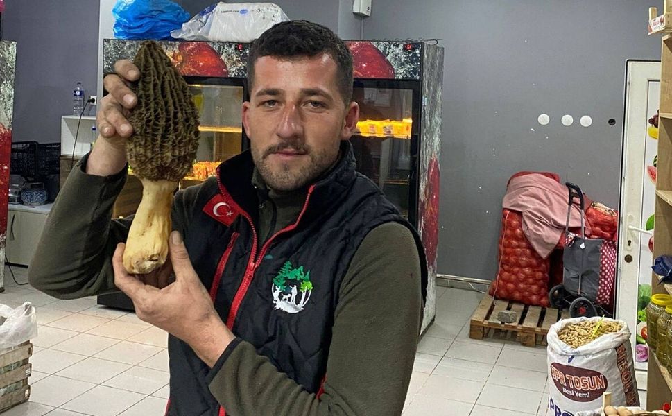 250 Gramlık Dev Kuzugöbeği Bulundu