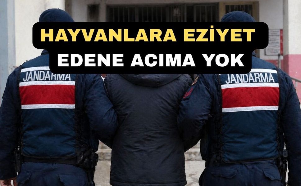 Uşak’ta Bir köpeğe İşkence Eden Fikret U. Tutuklandı