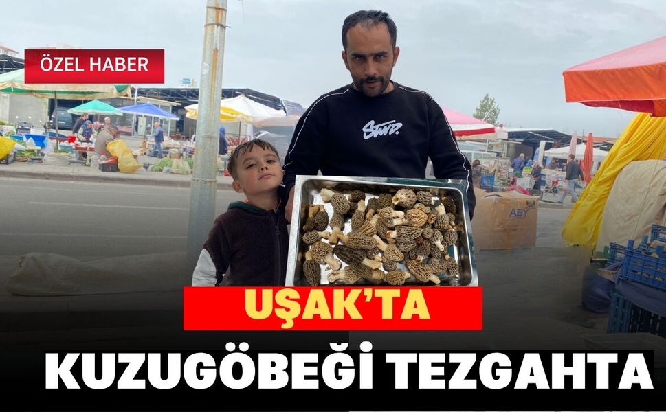 Uşak’ta Kuzugöbeği Tezgahta