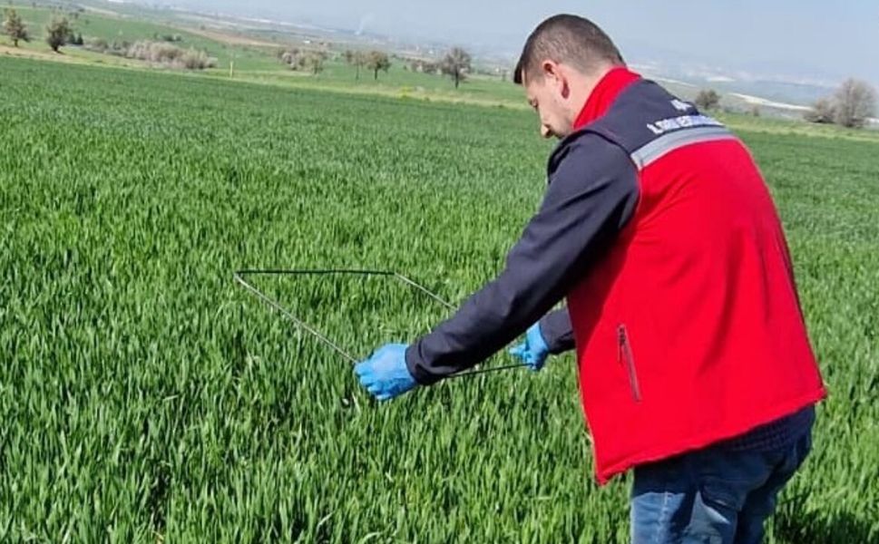 Uşak’ta Süneye Karşı Savaş Başladı