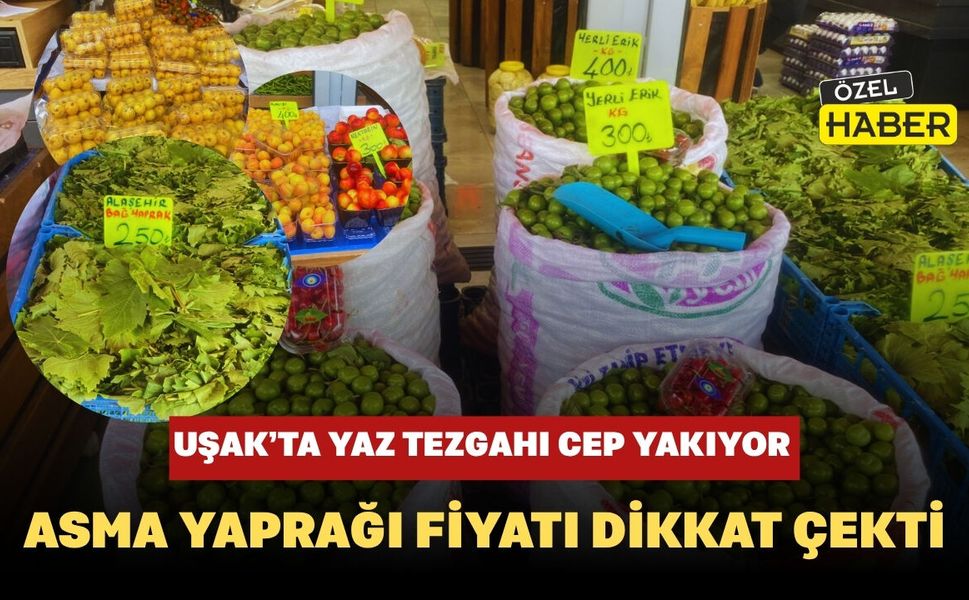 Uşak’ta Yaz Tezgahı Cep Yakıyor: Asma Yaprağı Fiyatı Dikkat Çekti
