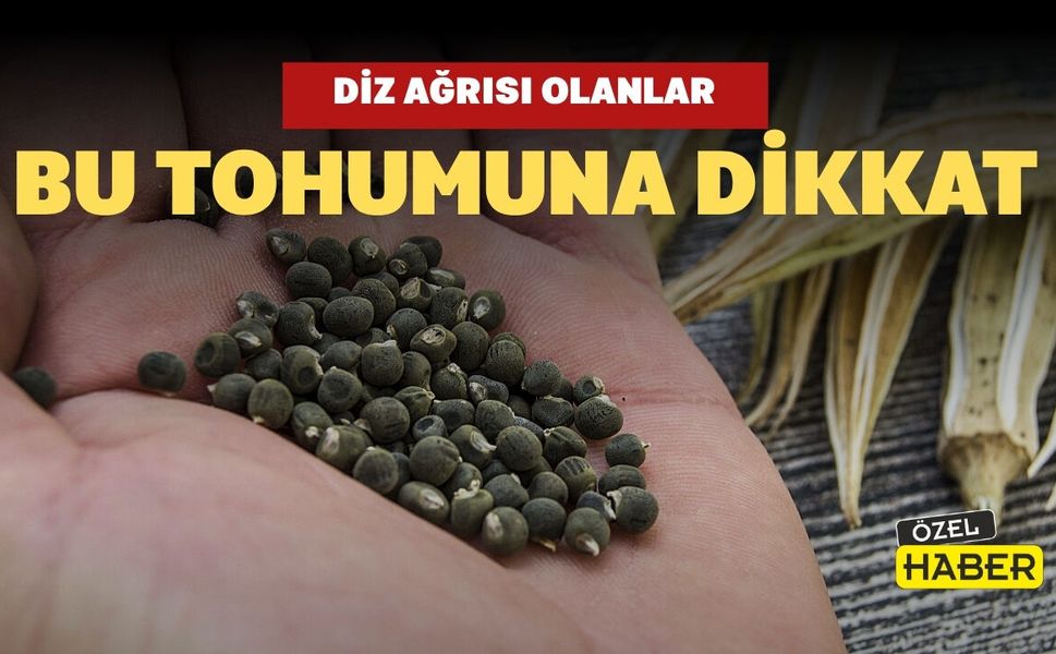 Diz Ağrısı Olanlar Bu Tohuma Dikkat!