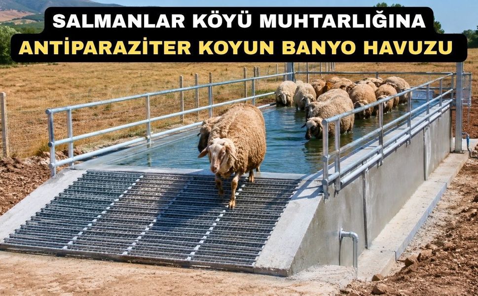 Uşak’ta bir köye koyun banyo havuzu tahsis edildi