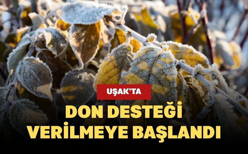 Uşak’ta Don Desteği Verilmeye Başlandı