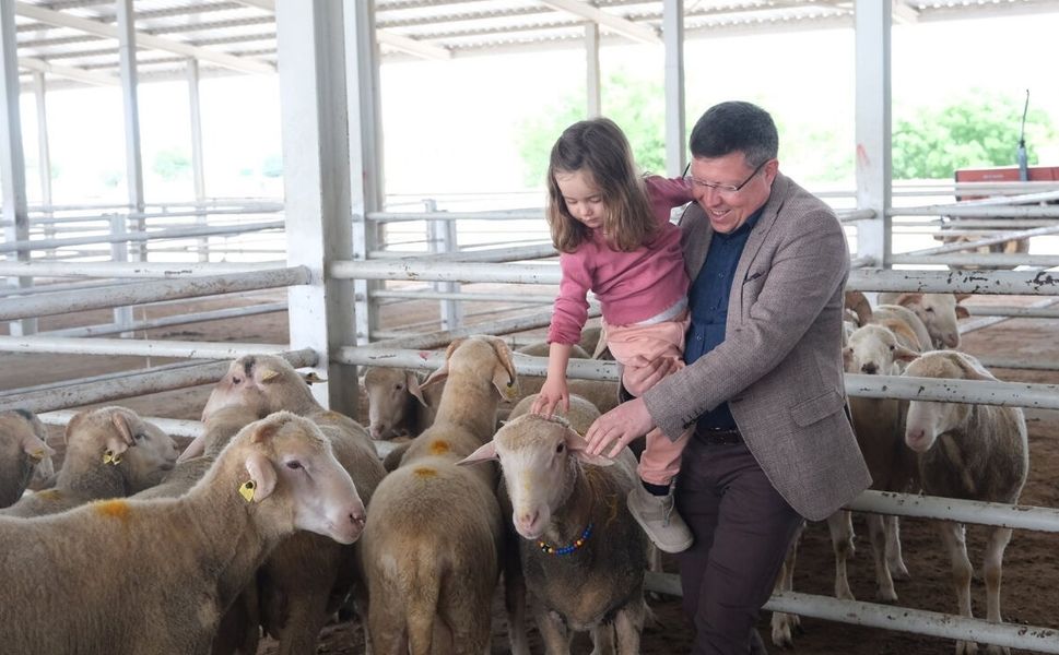 Milletvekili Tuğrul’dan Hayvan Pazarı’na Ziyaret