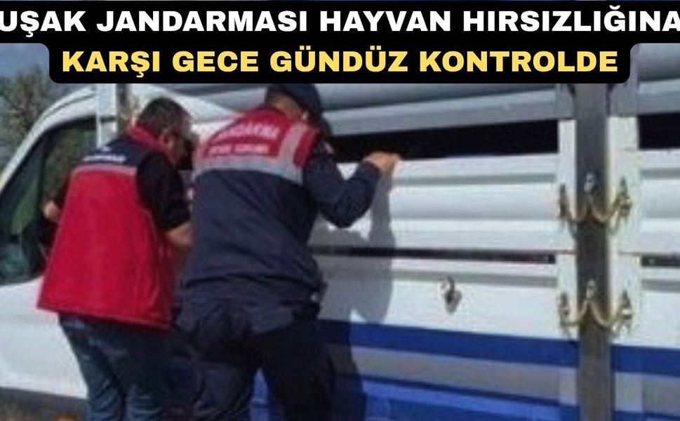 Uşak Jandarması hayvan hırsızlığına karşı tetikte