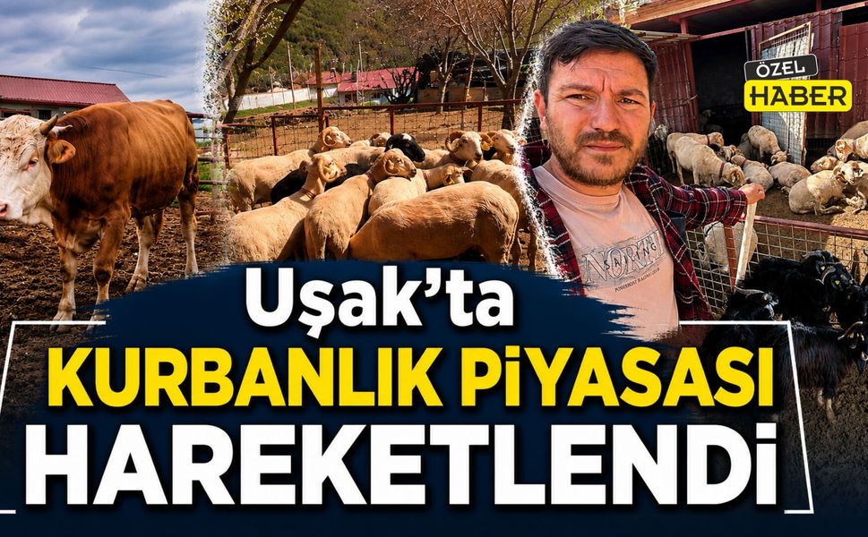 Uşak’ta Kurbanlık Piyasası Hareketlendi