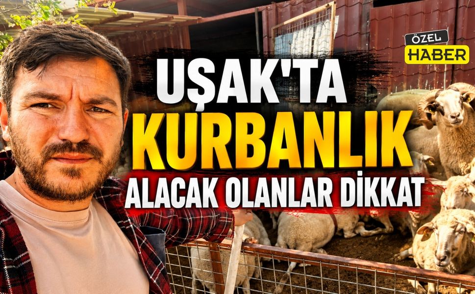 Uşak’ta Kurbanlık Alacak Olanlar Dikkat