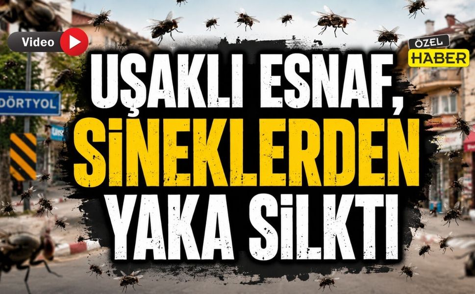 Uşaklı Esnaf Sineklerden Yaka Silkti